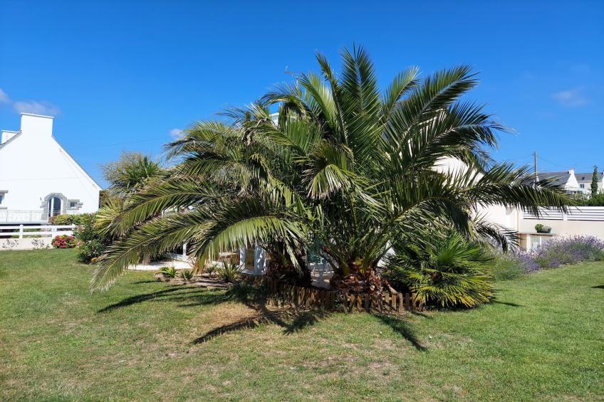 holiday home, Plouhinec - foto 21