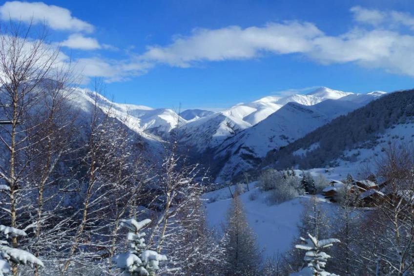 Coeur des Ours B N°01 - 3P6 - foto 30