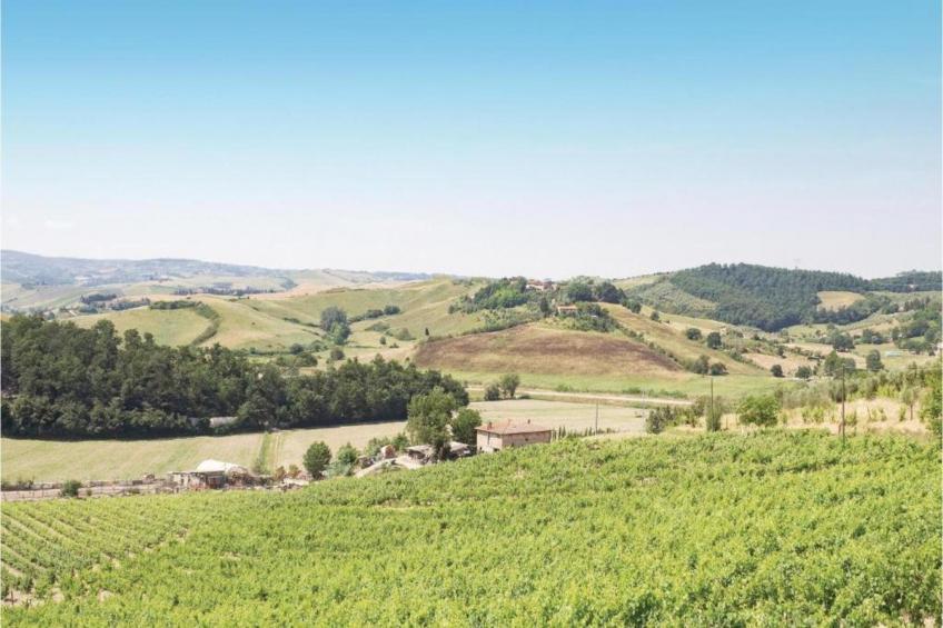 Gaville Otto - foto 33