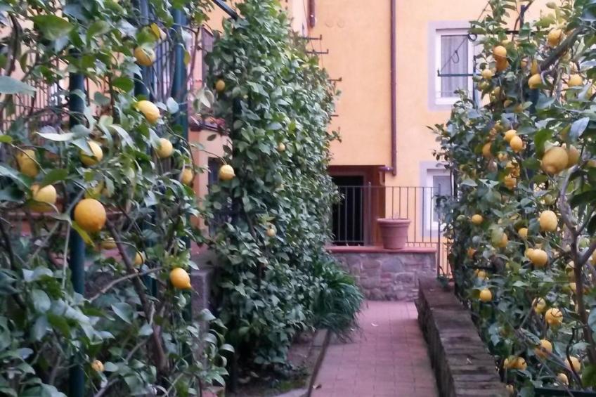 Wohnung "Il Bergamotto" mit Garten - foto 21