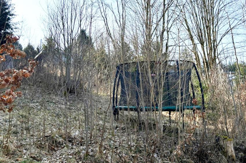 Modernes FERIENHAUS ALLRODE mit Wellness - foto 29