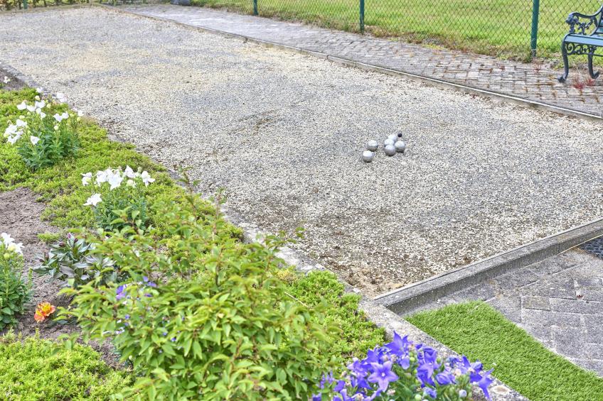 De Vrije Vogel - foto 7