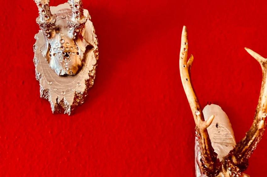 Apartment Daniel - foto 18