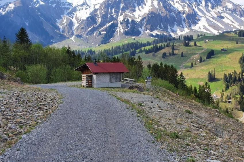 Kolibri Hochparterre - foto 23