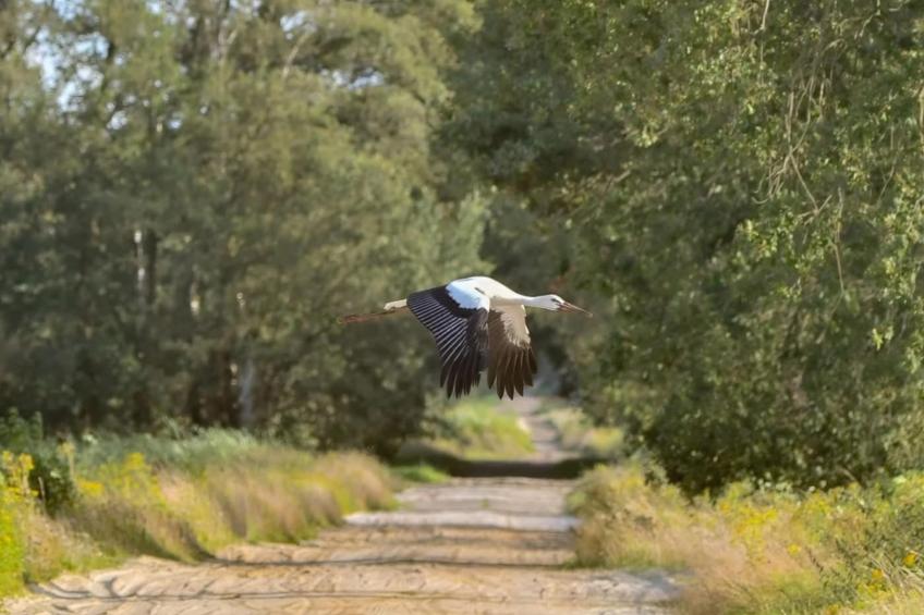 Lierelodge - foto 61