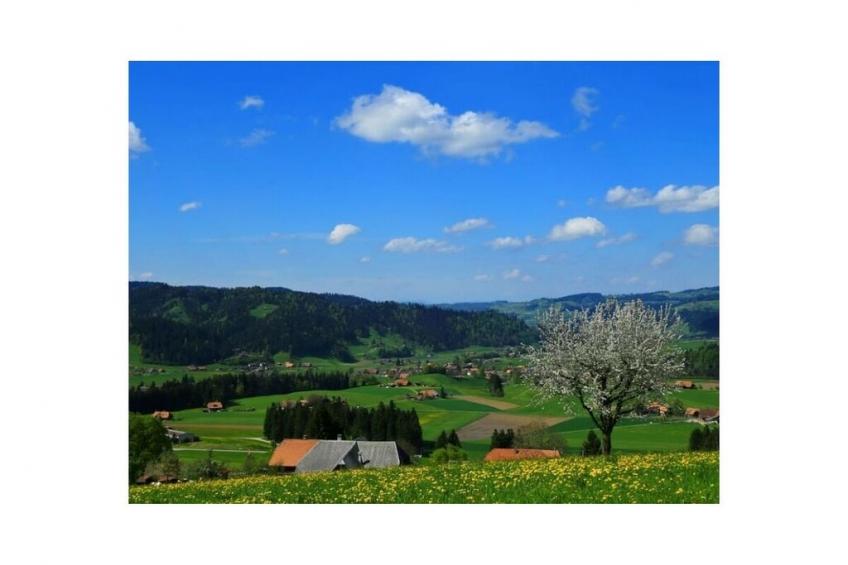 13384 - foto 22