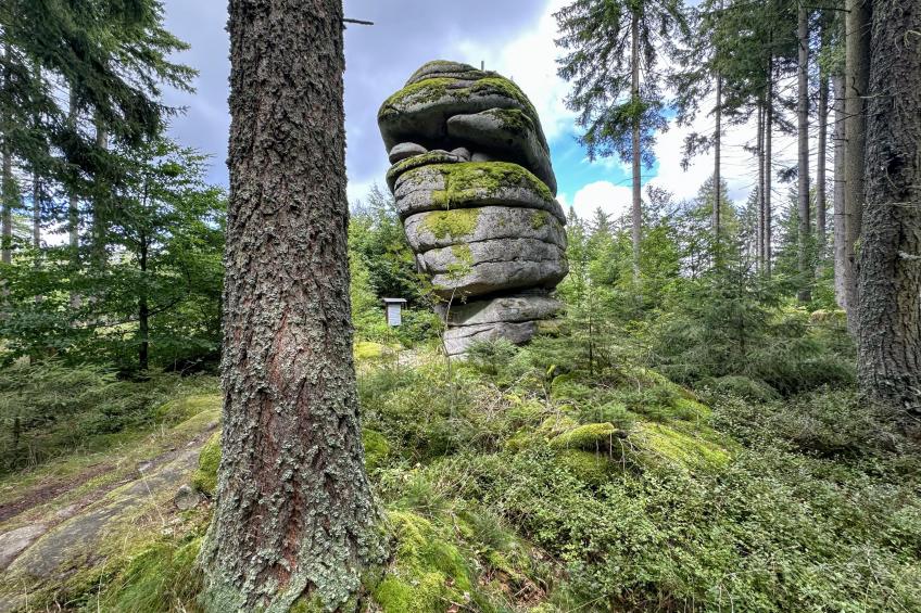 Rehberg Hütte - foto 31