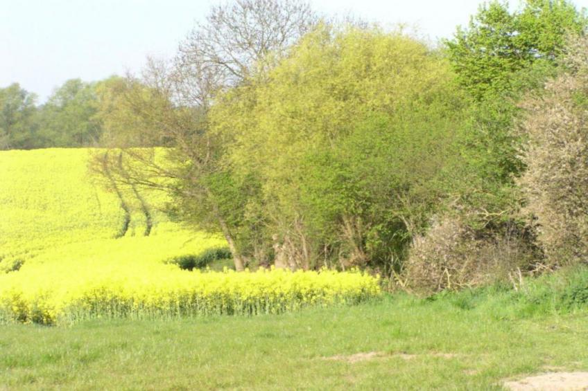 "Gartenblick" bei Gerdshagen - foto 24