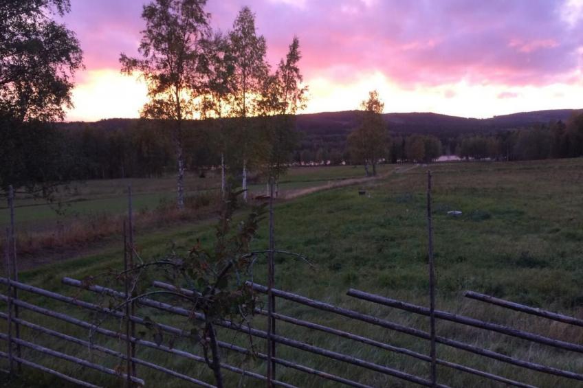 Haus Gård Solhag - foto 21