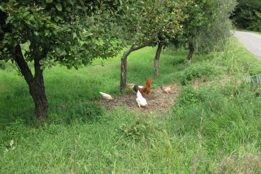 'La torre' mit Pool - foto 14