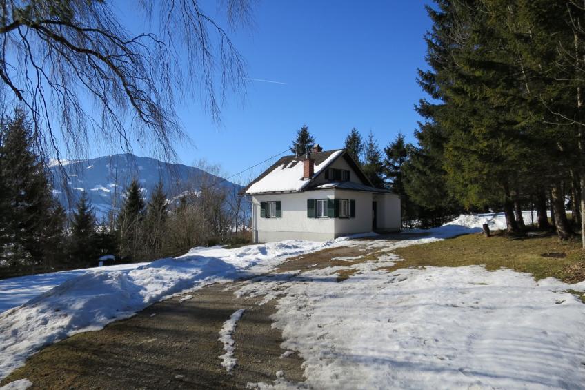 Grüne Oase (OBL120) - foto 28