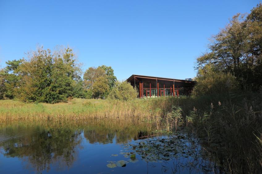 Lake view villa met zwem- vissteiger - foto 28