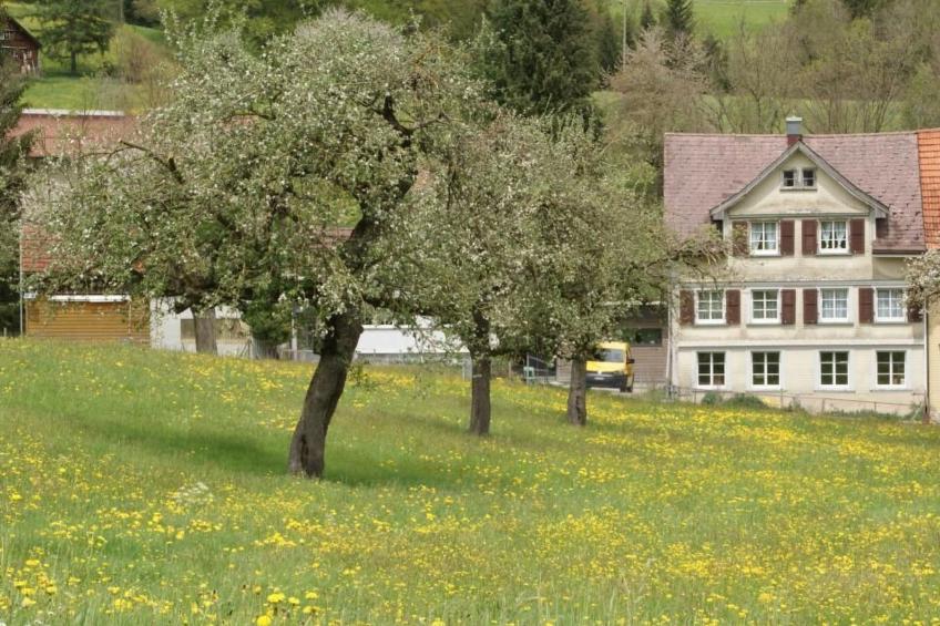 Haus Usziit - Zeit die Seele baumeln zu lassen - foto 5