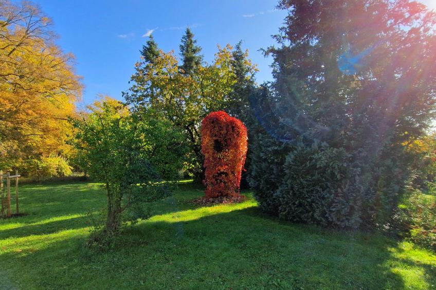 Buchengrund - foto 29