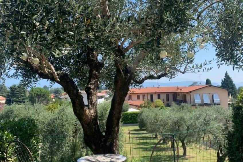 Piccola Perla - foto 24