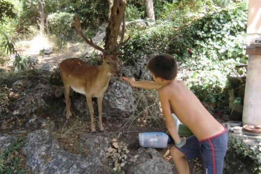 'Villa Paradisino - foto 20