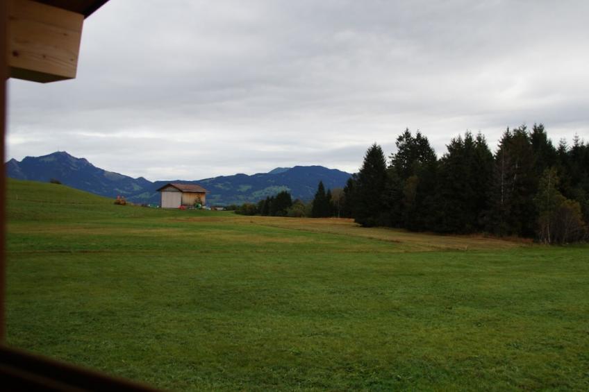 287968 - foto 15