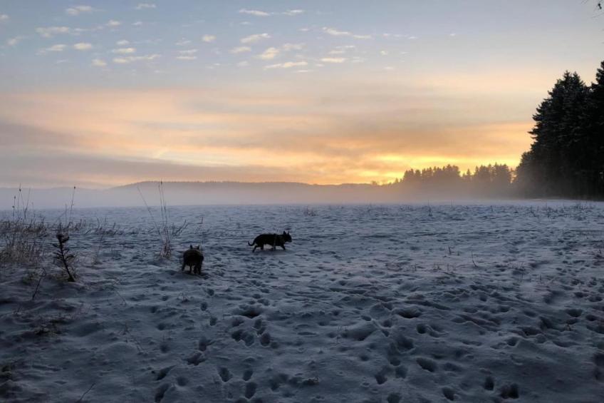 Ferienwohnung an der Talsperre Rauschenbach - foto 33