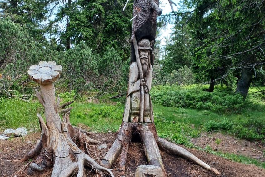 Ski&Bike Siréna - foto 18