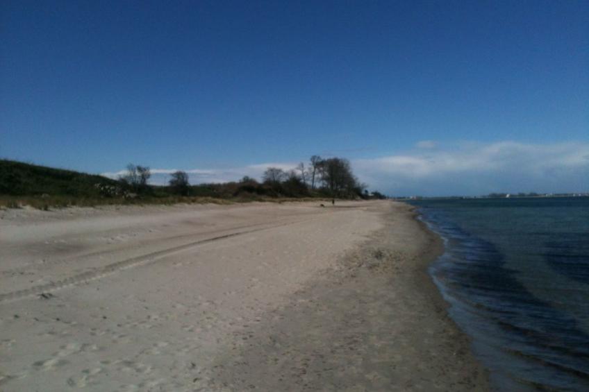Ostseenahes, gemütliches Ferienhaus - foto 19