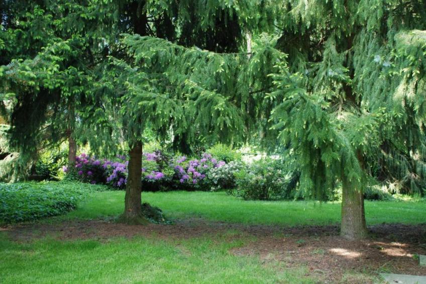 Vakantiepark Klein Vink 22 - foto 31