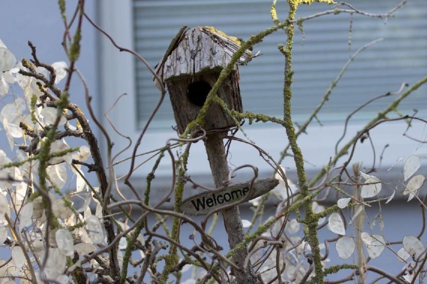 Monski Neustadt-Glewe - foto 12