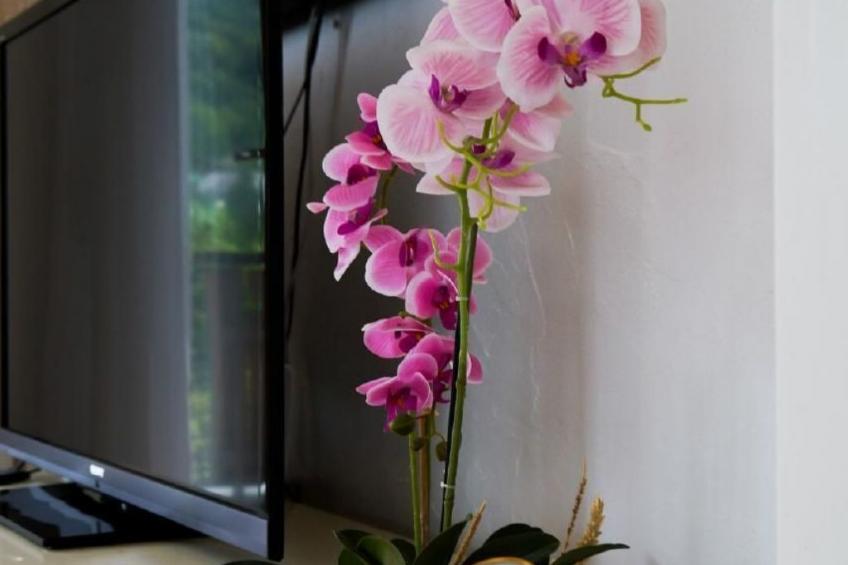 Luxuriöses Chalet - Walensee - Schwimmbad - Sauna - foto 89