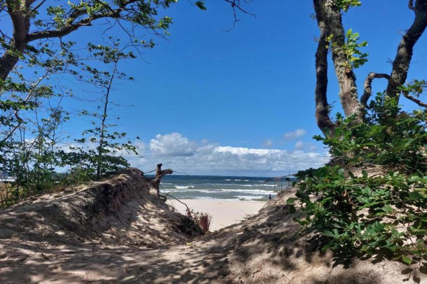 Willa Karwińskie Błota - foto 39