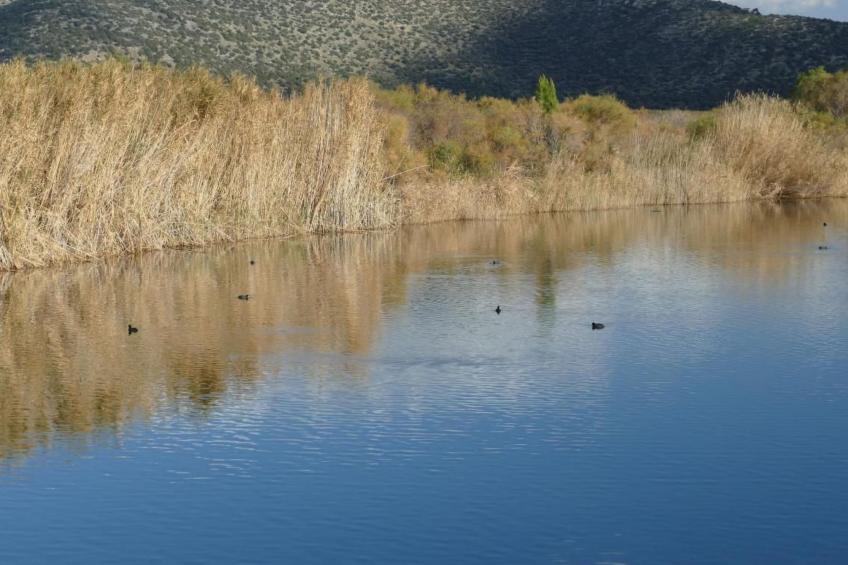 Esperides Ferien - foto 40