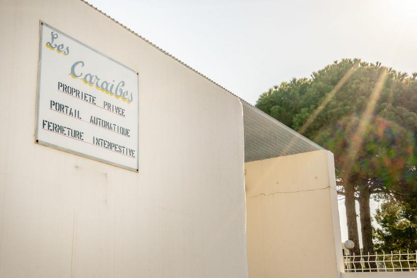 Les Caraïbes - foto 21
