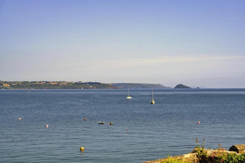 Rose Cottage, Kingsand - foto 25