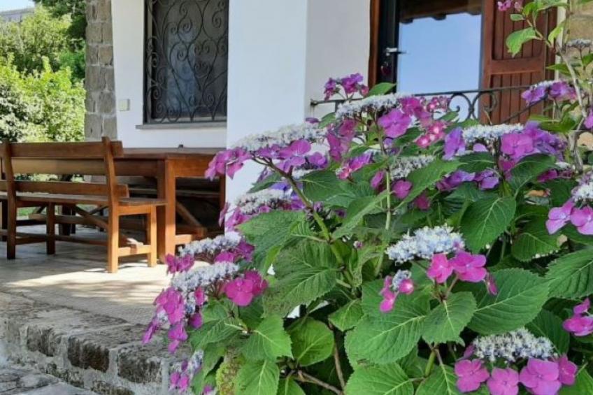 Villa Garden am See - foto 2