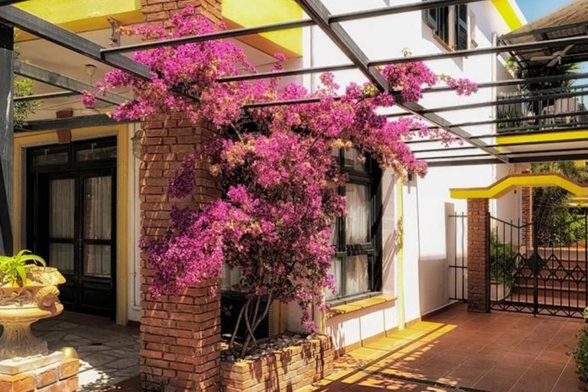 Elia Apartments Afytos- Ferienwohnung mit Terrasse - foto 15