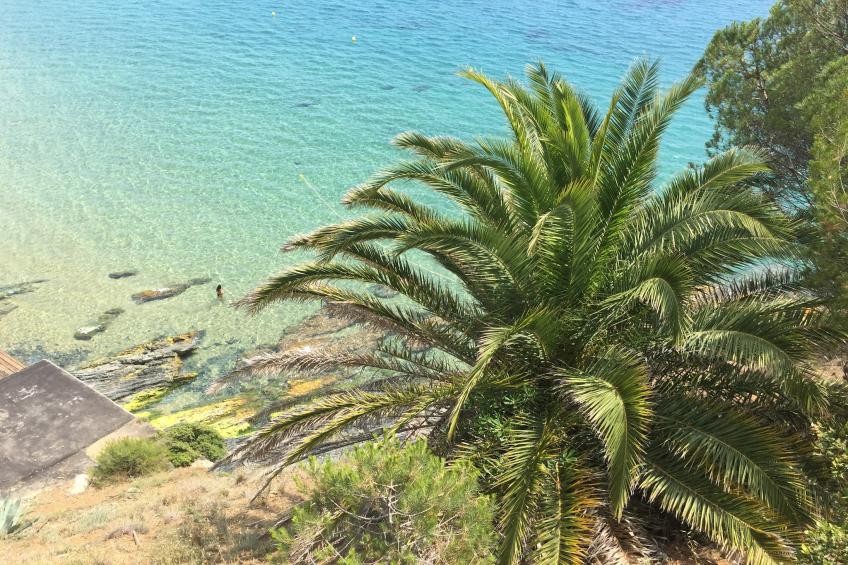 Vidauban 4 - foto 35