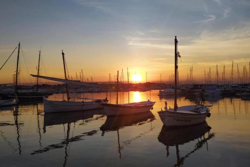 COSSIS 61B - foto 27