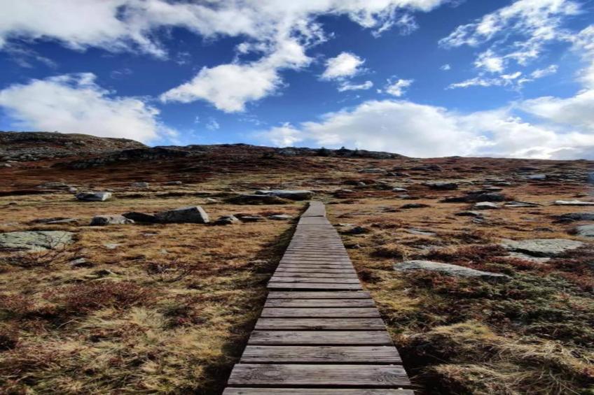 LES BICHES N°78 - 3P6 - foto 34