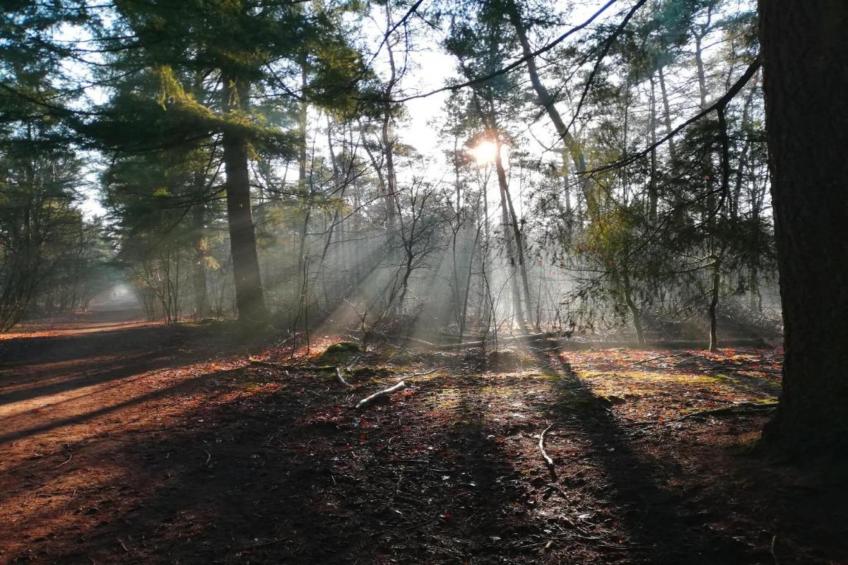 Bospark 't Wolfsven 11 - foto 29