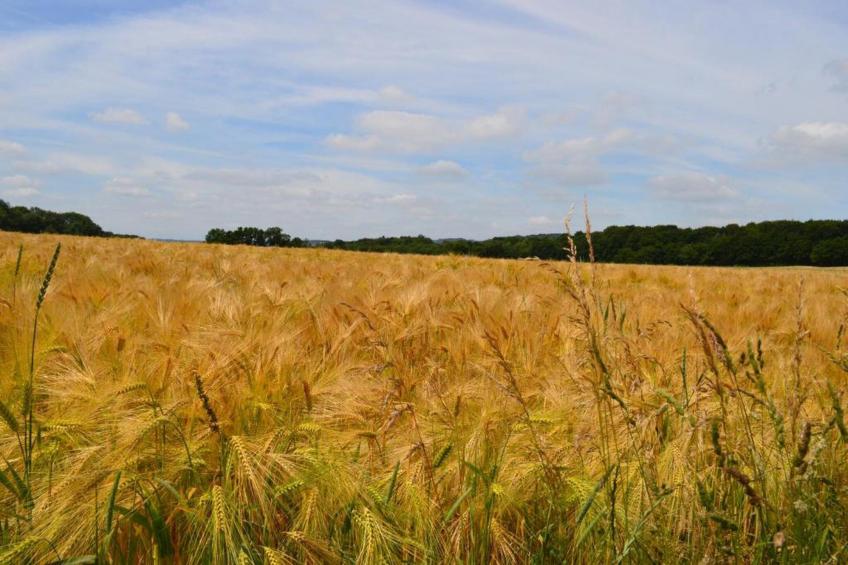 Miss Chloé - foto 34