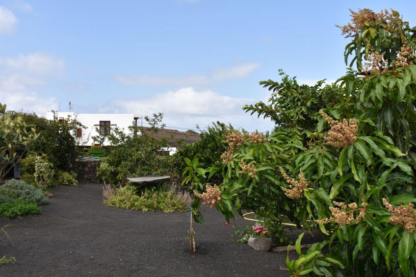 Exklusives Landhaus mit Garten und überdachter Terrasse sowie schöner Aussicht - foto 30