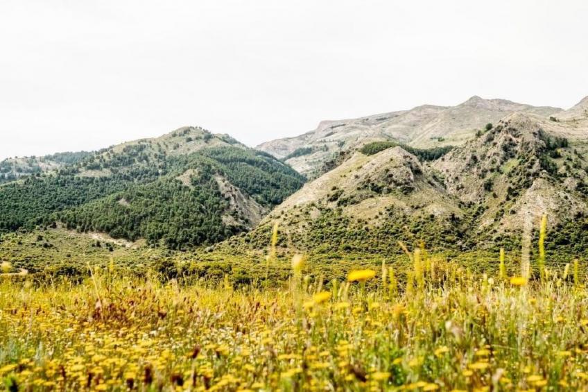 Valparaiso - foto 52