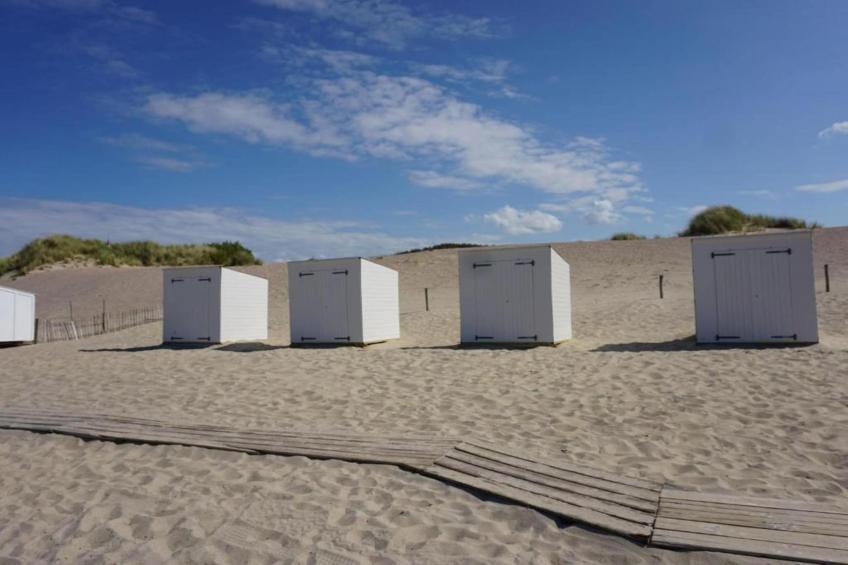 Cardium 33 - foto 38