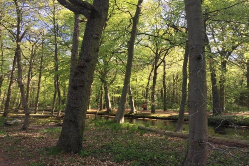 Hof van Craeck II - foto 22