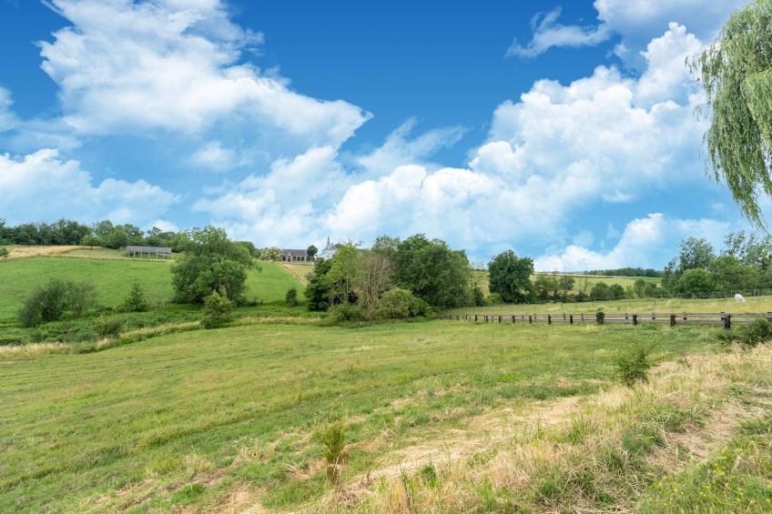 Huis Dries - foto 36