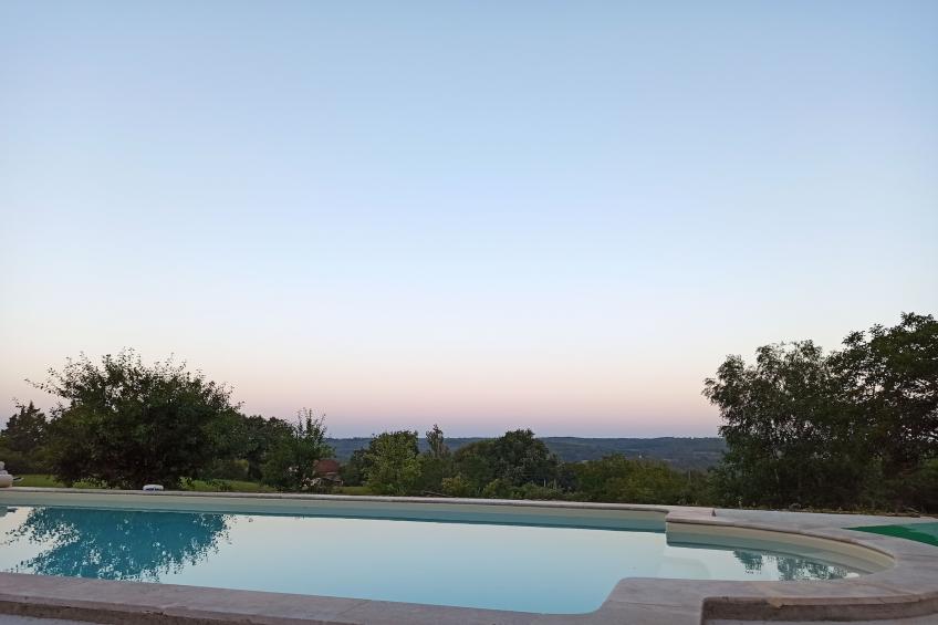 l'Orchidée Sauvage - foto 12