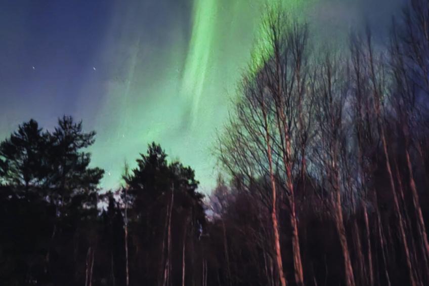 Gemütliches Ferienhaus Angermanland - höga Kusten - foto 28