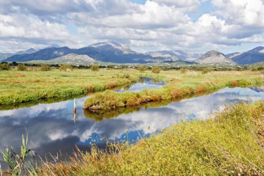 Rubi de la Torre, Villa 5StarsHome Mallorca - foto 34