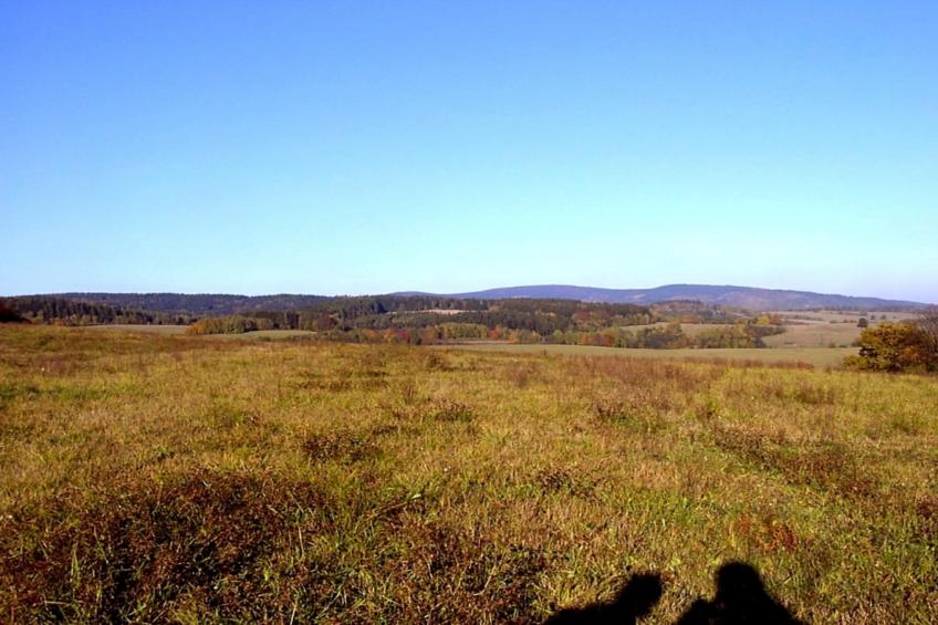 Mesu - foto 31
