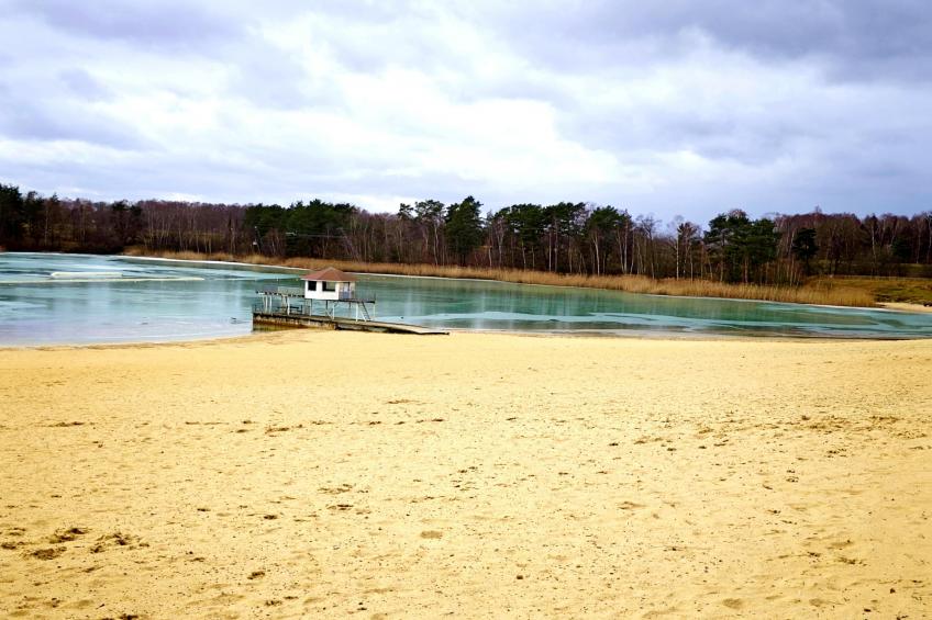 Forest chalet - foto 16