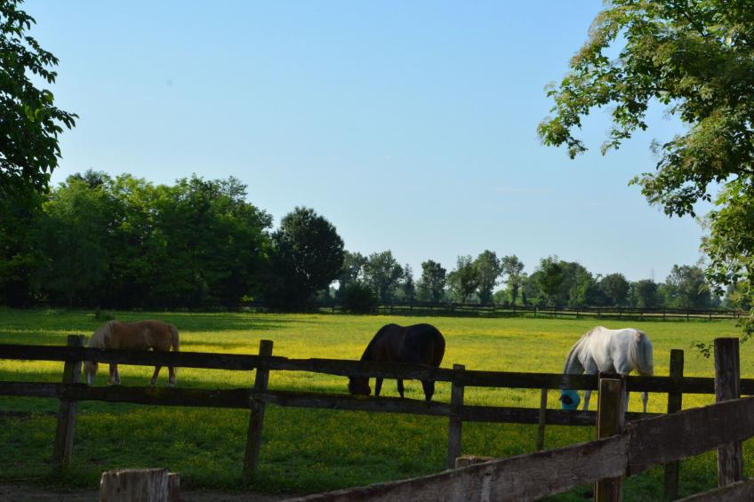 Apartment "Magalita" - foto 13