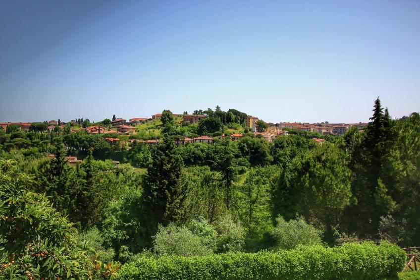 Bramante - foto 5